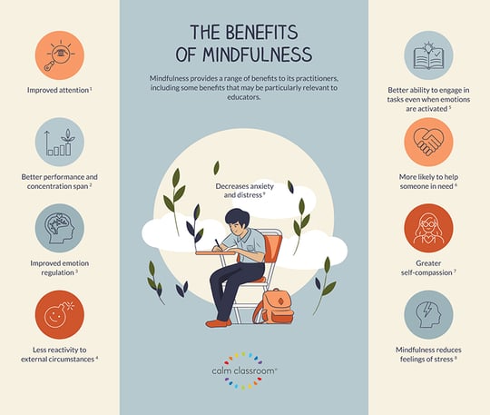 Calm Mindfulness Infographic