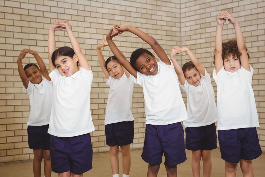 Sytomatic Stretch Somatic Stretching: How Students Can Benefit From These Exercises